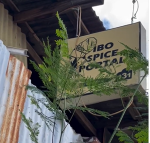ibo spice sign 1