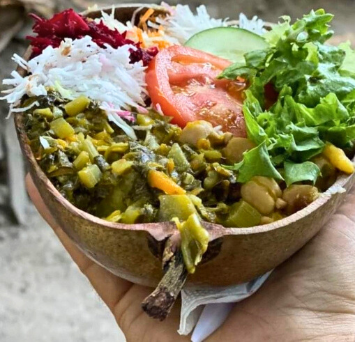 veggie meals on wheeels dish Edited